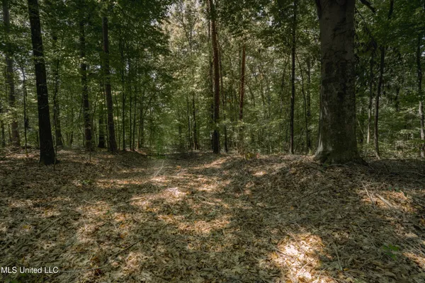 $35,000 | 0 Dog Pen Road, Durant, MS 39063