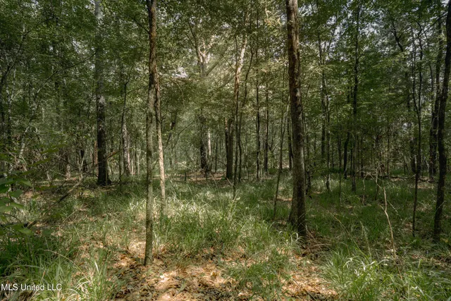 $42,000 | 0 Dog Pen Road, Durant, MS 39063