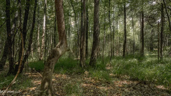 $35,000 | 0 Dog Pen Road, Durant, MS 39063