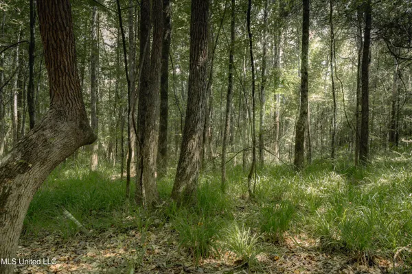 $35,000 | 0 Dog Pen Road, Durant, MS 39063
