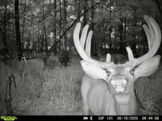 V/l South Chapin Road Elsie, MI 48831 - Photo 20 of 20