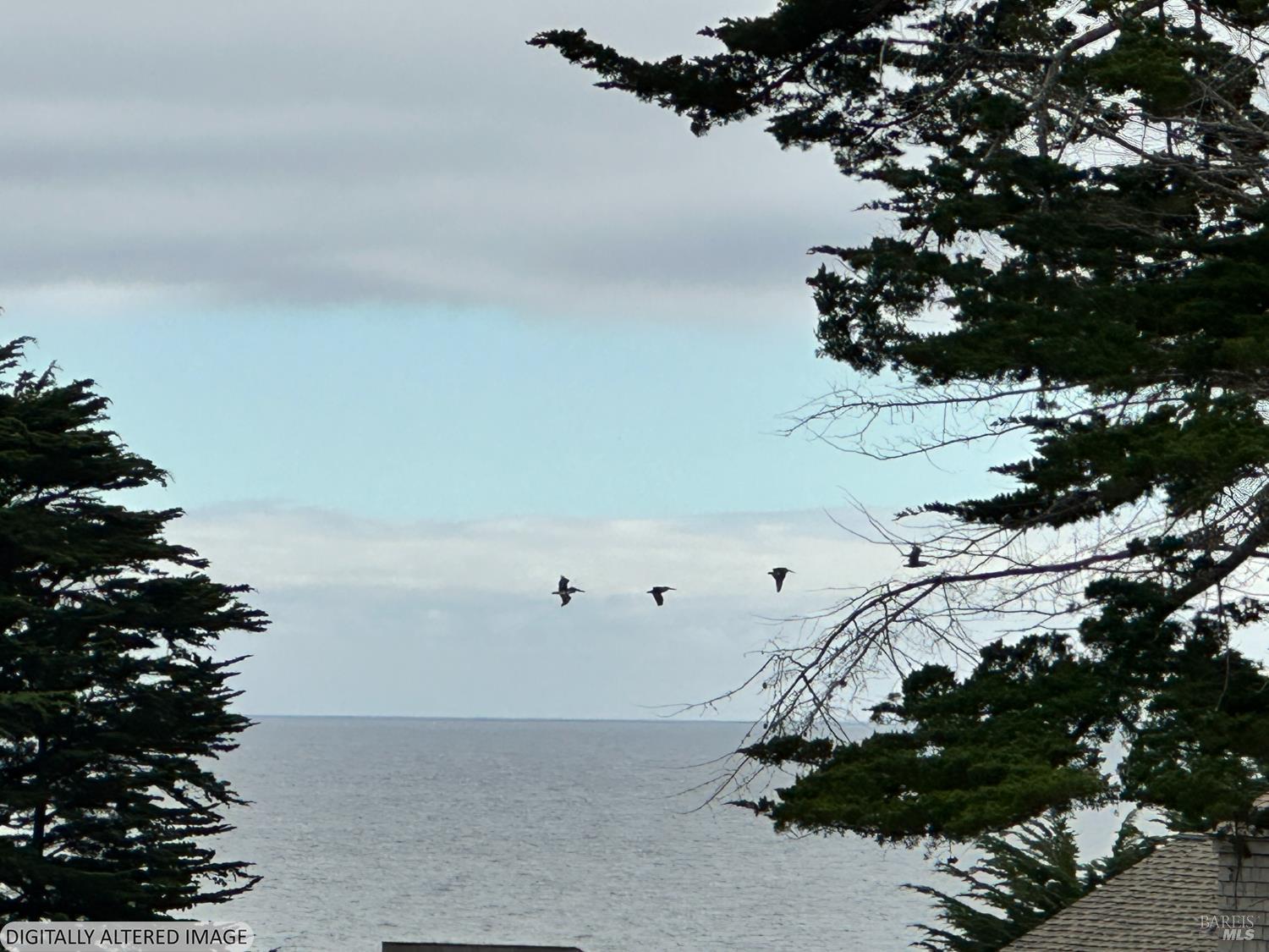 135 Shepherds Close The Sea Ranch, CA 95497 - Photo 27 of 34