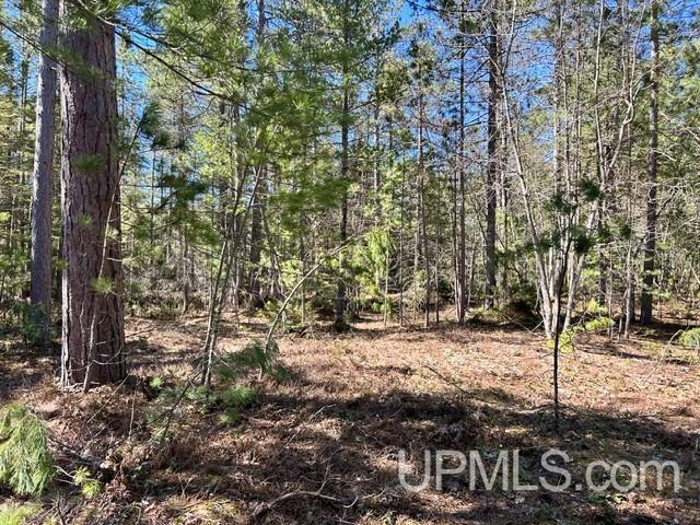 61 Little Rice Lk Road Lake Linden, MI 49945 - Photo 15 of 29