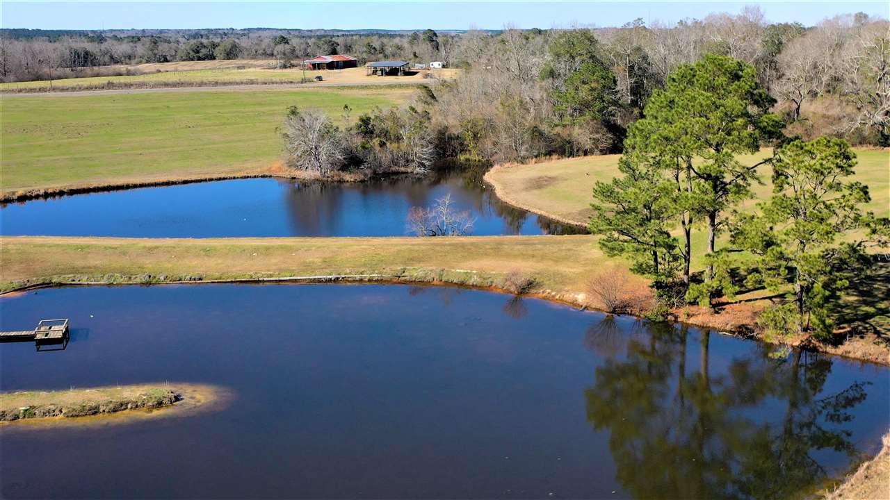 17132 Horn Hill Road Opp, AL 36467 - Photo 39 of 43 Gallery Image 39