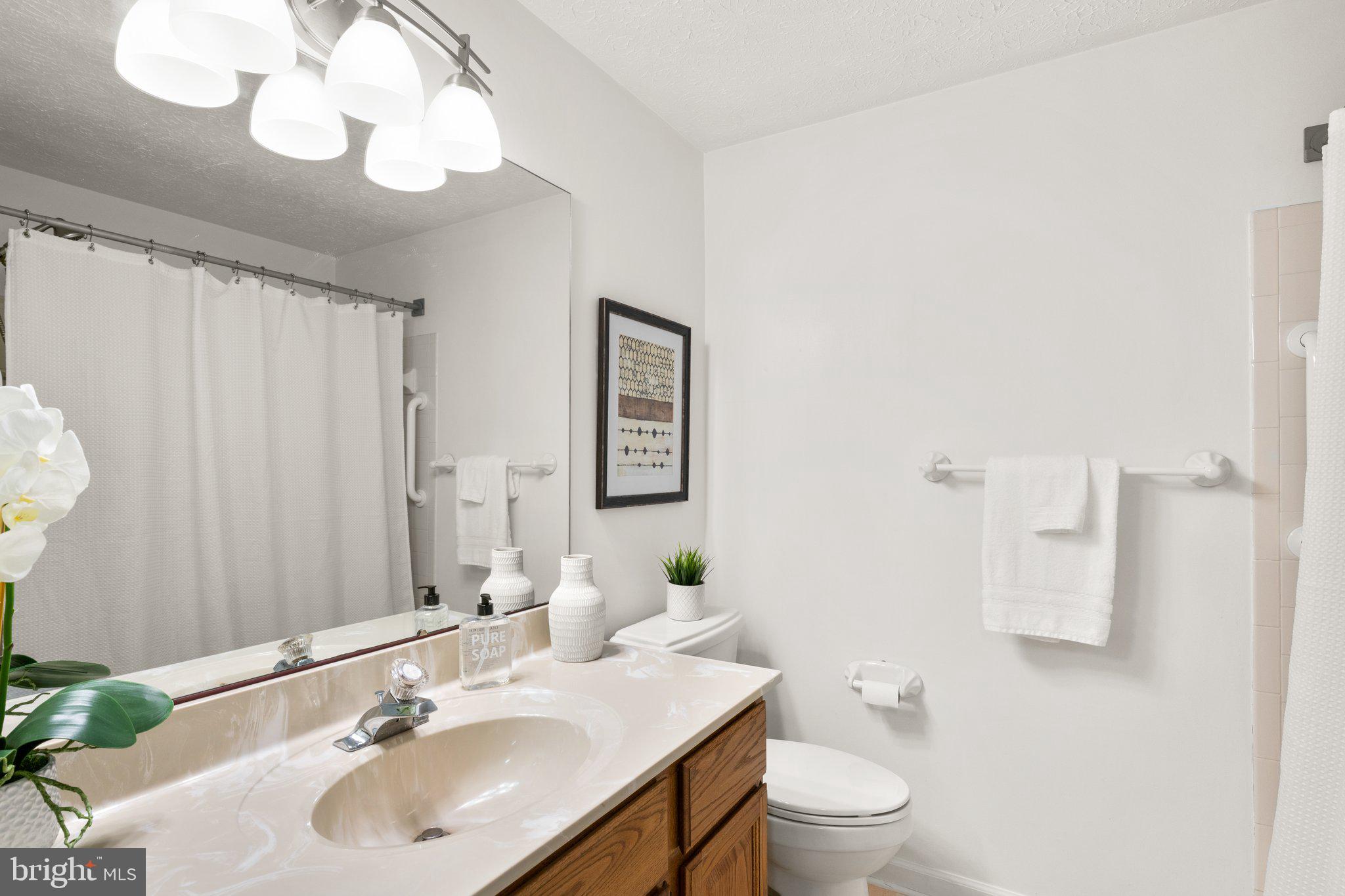2 Ramsgate Court Halethorpe, MD 21227 - Photo 18 of 30 a bathroom with a sink a toilet and a large mirror