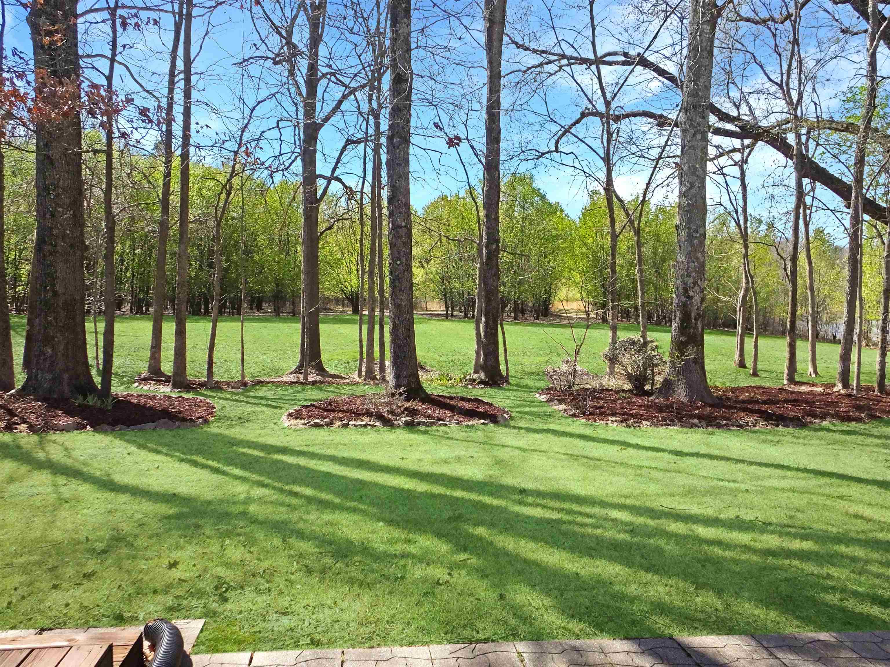 4323 Country Bridge Road Lakeland, TN 38002 - Photo 5 of 35 View of yard