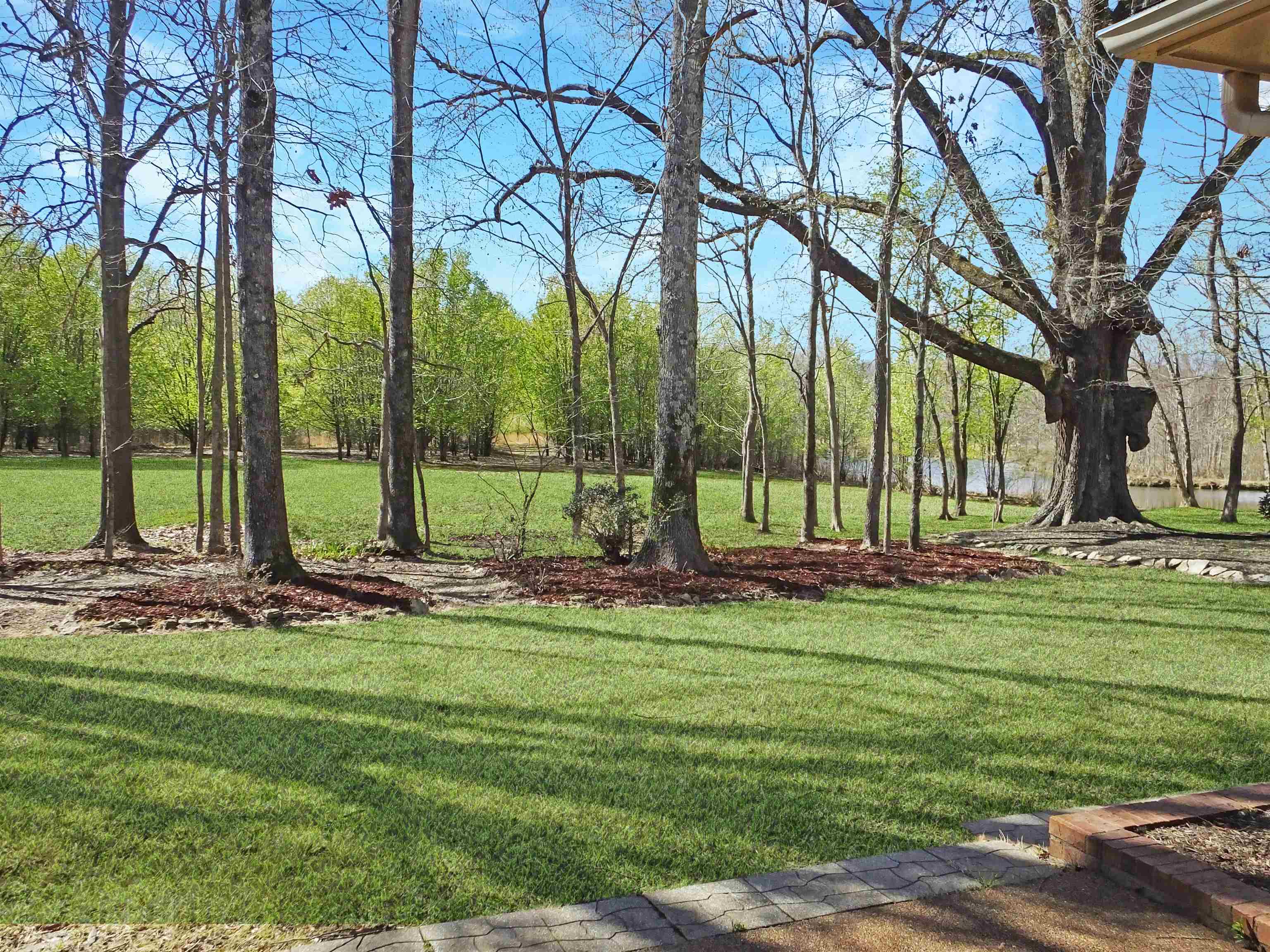 4323 Country Bridge Road Lakeland, TN 38002 - Photo 6 of 35 View of yard