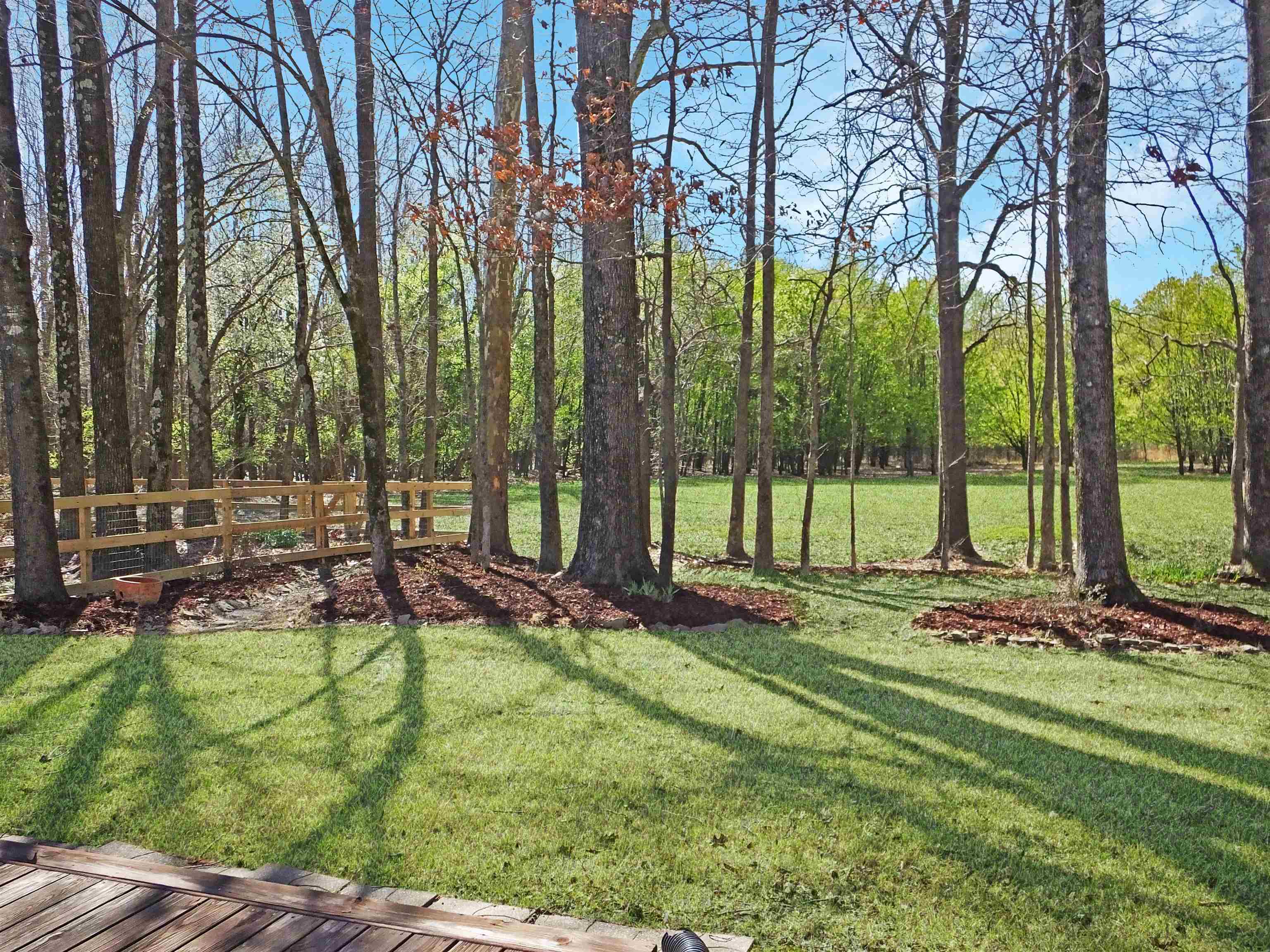 4323 Country Bridge Road Lakeland, TN 38002 - Photo 7 of 35 View of yard featuring fence