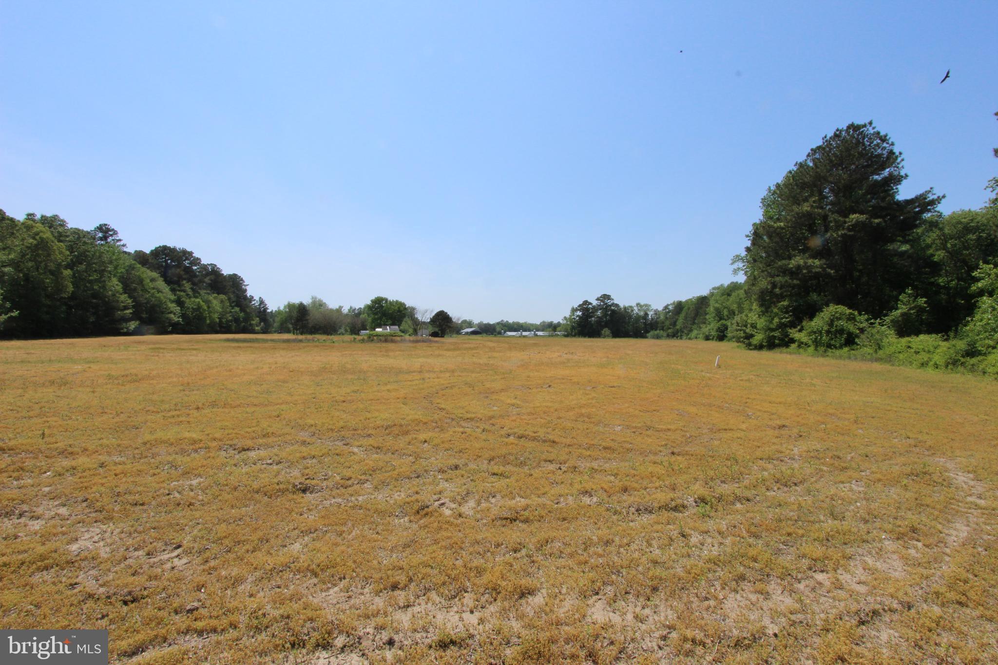 Tanyard Road Preston, MD 21655 - Photo 1 of 7 a view of a lake view