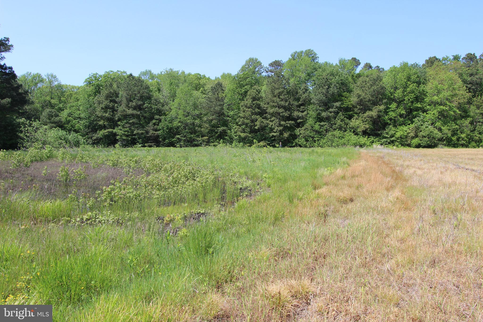 Tanyard Road Preston, MD 21655 - Photo 4 of 7 a view of outdoor space and yard