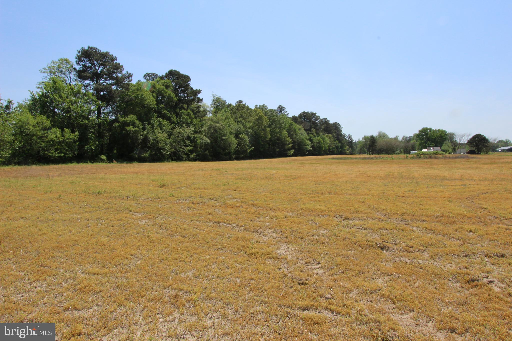 Tanyard Road Preston, MD 21655 - Photo 6 of 7 a view of an ocean