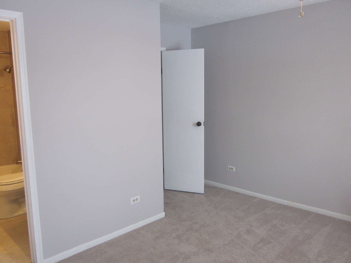 2068 North Rand Road, Unit 211 Palatine, IL 60074 - Photo 8 of 18