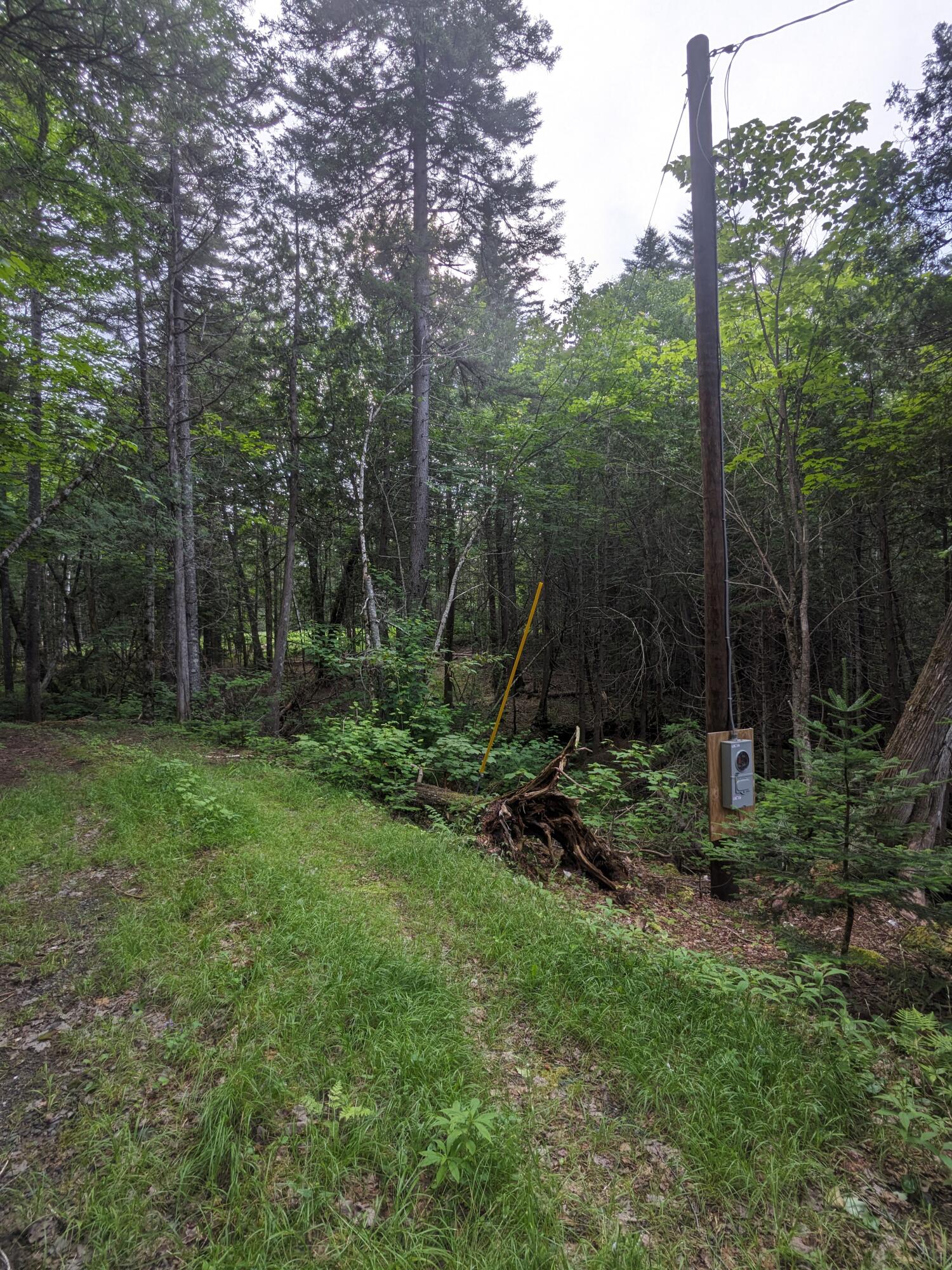 2 Greenville Road Shirley Mills, ME 04485 - Photo 12 of 40 PXL_20230715_212421165