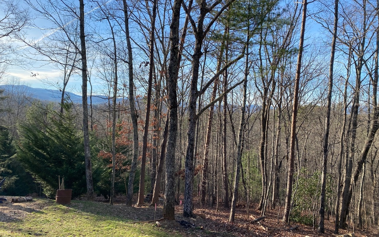 Lot13 Price Road Blue Ridge, GA 30513 - Photo 1 of 7 Main View