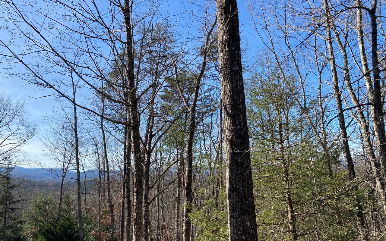 Lot13 Price Road Blue Ridge, GA 30513 - Photo 3 of 7 Additional View