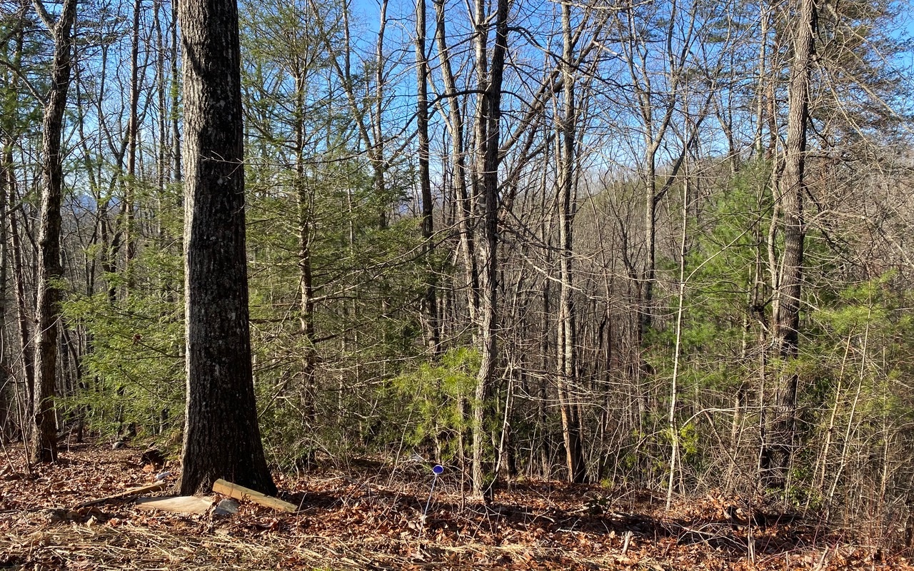 Lot13 Price Road Blue Ridge, GA 30513 - Photo 4 of 7 Additional View
