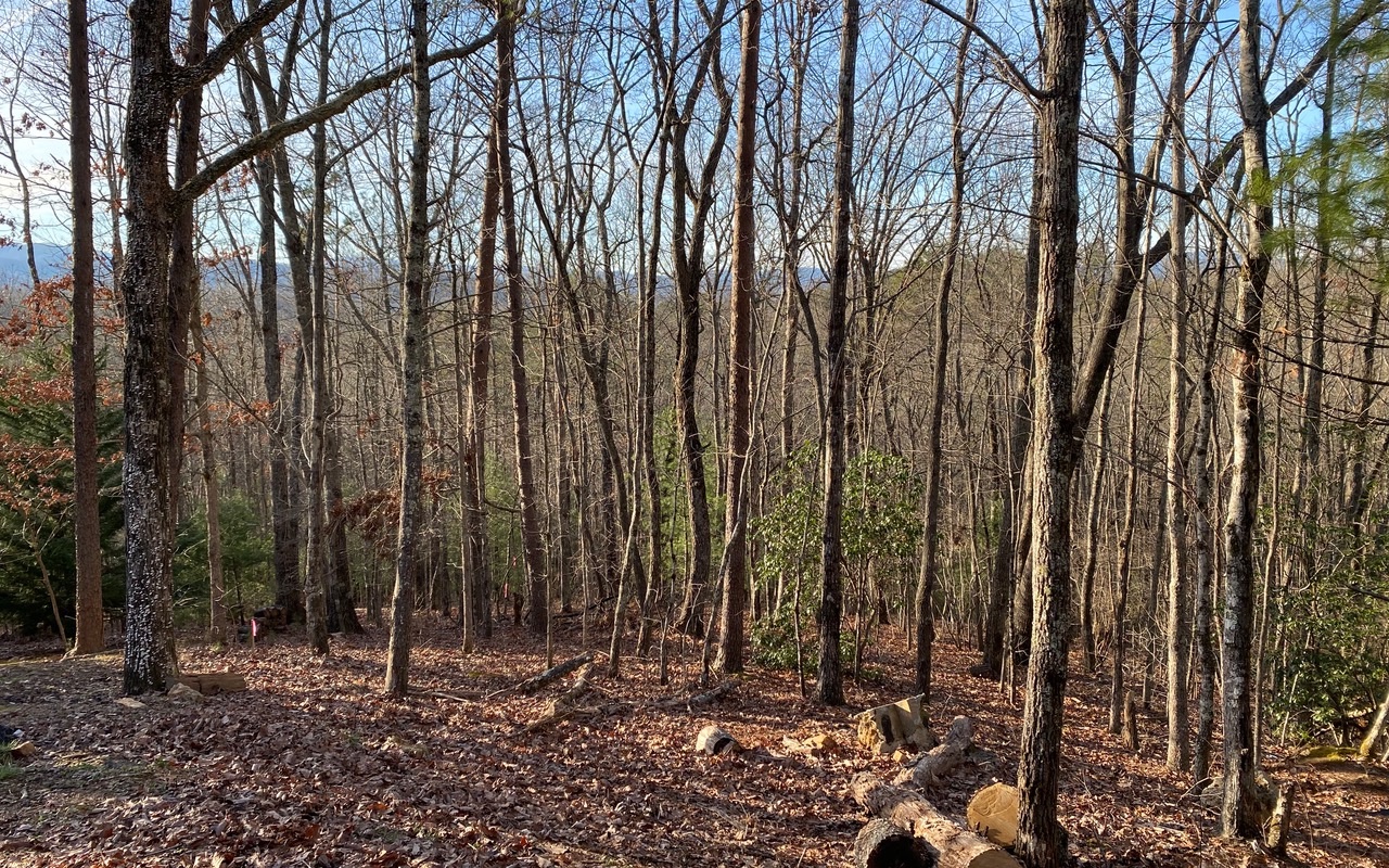 Lot13 Price Road Blue Ridge, GA 30513 - Photo 5 of 7 Additional View
