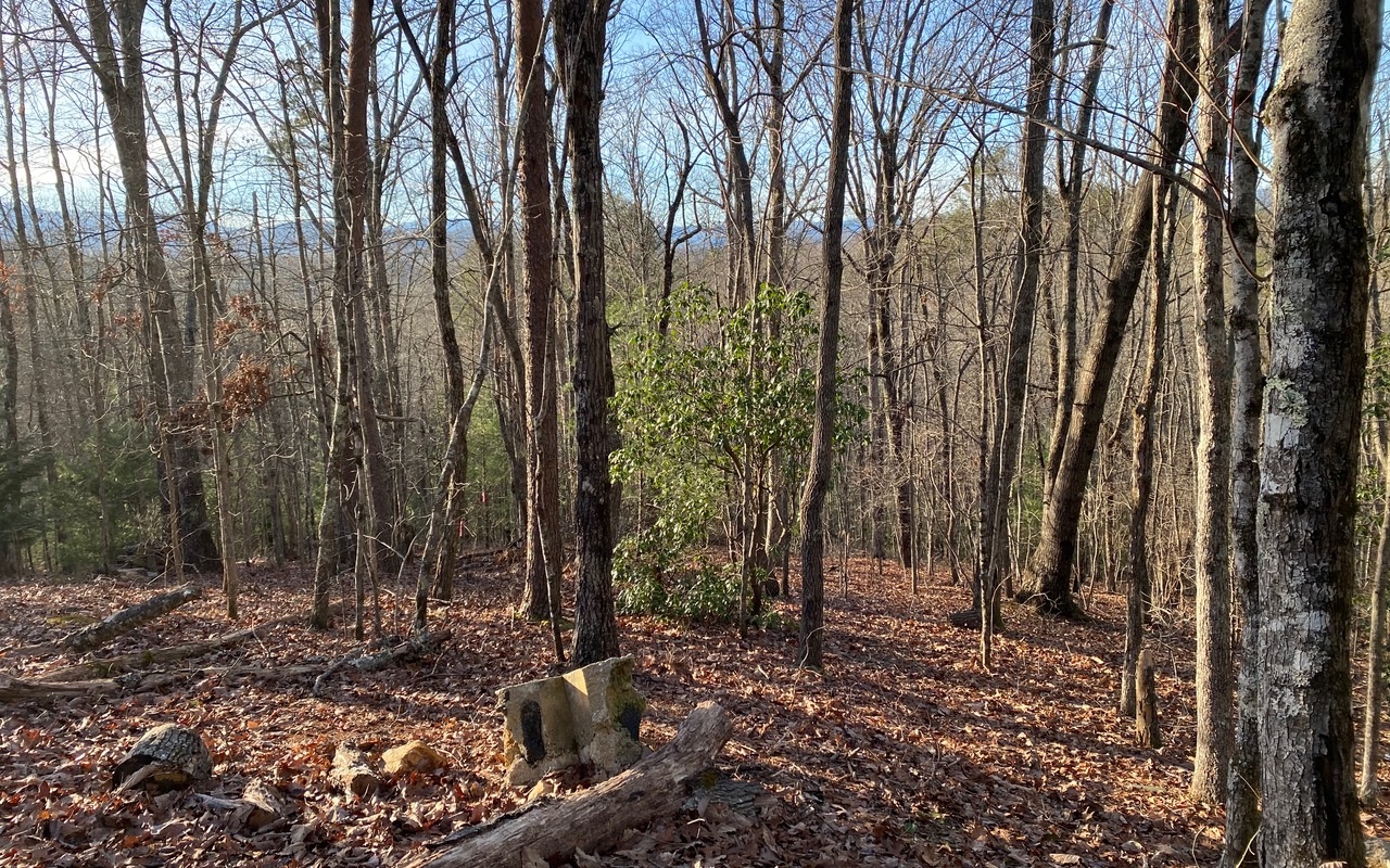 Lot13 Price Road Blue Ridge, GA 30513 - Photo 6 of 7 Additional View