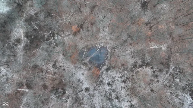 $614,900 | 7000 South Us Highway, Freedom, IN 47431