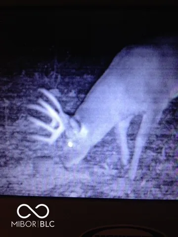 $614,900 | 7000 South Us Highway, Freedom, IN 47431