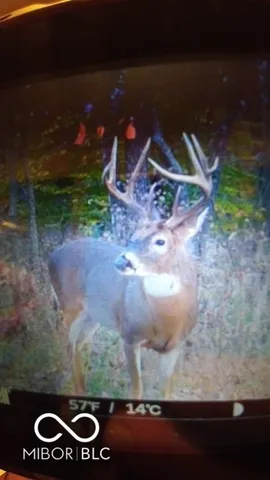 $614,900 | 7000 South Us Highway, Freedom, IN 47431