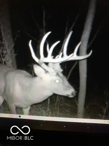 $614,900 | 7000 South Us Highway, Freedom, IN 47431