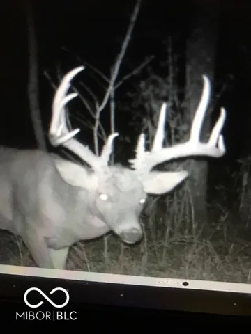 $614,900 | 7000 South Us Highway, Freedom, IN 47431