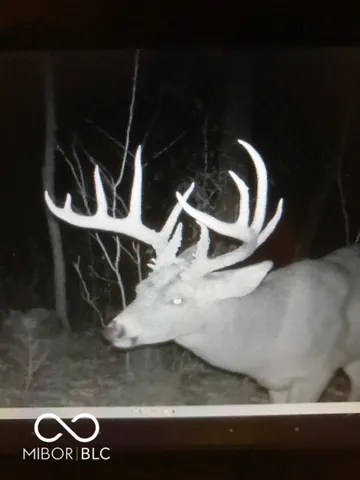 $614,900 | 7000 South Us Highway, Freedom, IN 47431