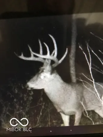 $594,900 | 7000 South Us Highway, Freedom, IN 47431