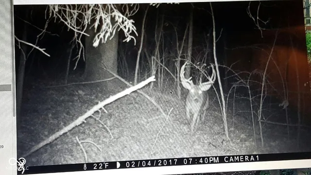 $614,900 | 7000 South Us Highway, Freedom, IN 47431