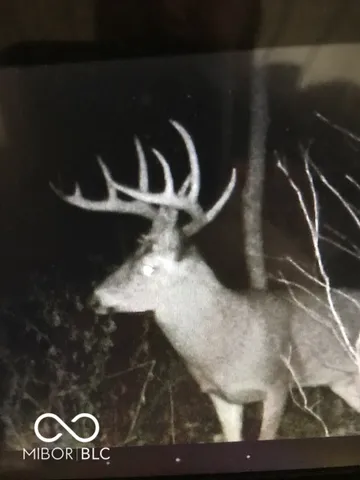 $614,900 | 7000 South Us Highway, Freedom, IN 47431