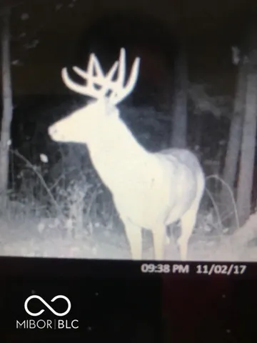 $614,900 | 7000 South Us Highway, Freedom, IN 47431