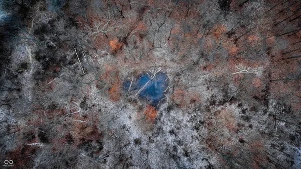 $594,900 | 7000 South Us Highway, Freedom, IN 47431