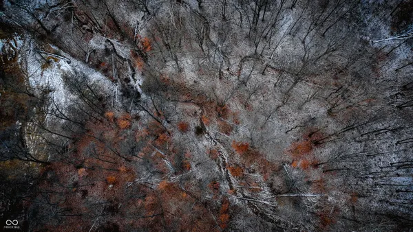 $594,900 | 7000 South Us Highway, Freedom, IN 47431