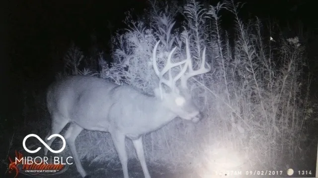 $614,900 | 7000 South Us Highway, Freedom, IN 47431