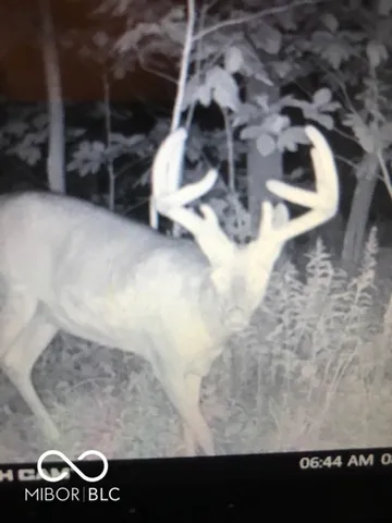 $614,900 | 7000 South Us Highway, Freedom, IN 47431