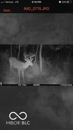 $594,900 | 7000 South Us Highway, Freedom, IN 47431