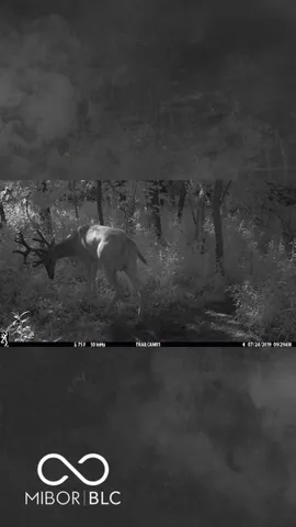 $614,900 | 7000 South Us Highway, Freedom, IN 47431