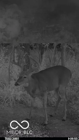 $614,900 | 7000 South Us Highway, Freedom, IN 47431