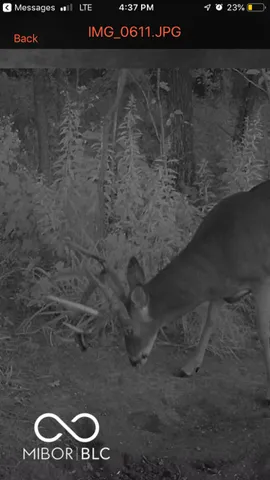 $614,900 | 7000 South Us Highway, Freedom, IN 47431