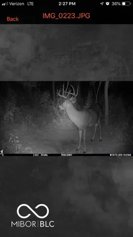 $614,900 | 7000 South Us Highway, Freedom, IN 47431