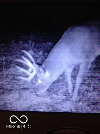 $594,900 | 7000 South Us Highway, Freedom, IN 47431