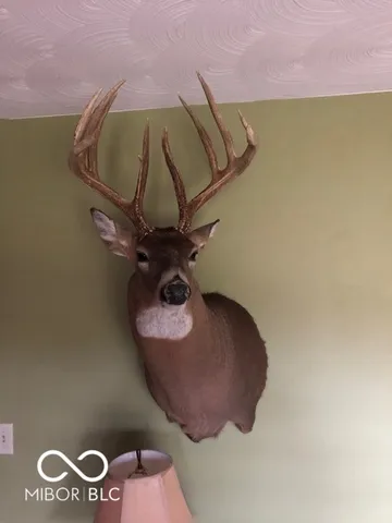 $614,900 | 7000 South Us Highway, Freedom, IN 47431