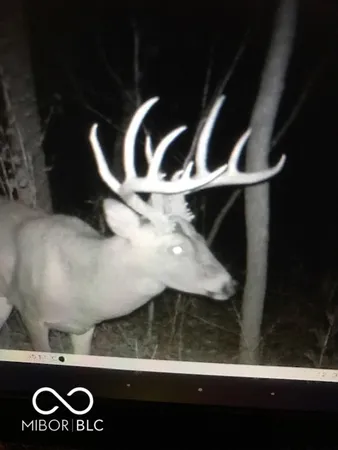 $594,900 | 7000 South Us Highway, Freedom, IN 47431