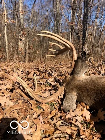 $614,900 | 7000 South Us Highway, Freedom, IN 47431