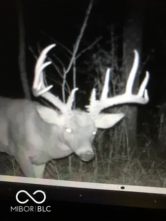 $594,900 | 7000 South Us Highway, Freedom, IN 47431