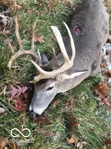 $614,900 | 7000 South Us Highway, Freedom, IN 47431