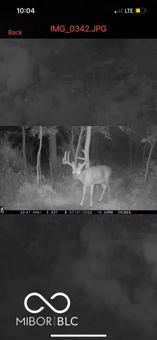 $614,900 | 7000 South Us Highway, Freedom, IN 47431