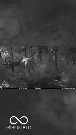 $594,900 | 7000 South Us Highway, Freedom, IN 47431