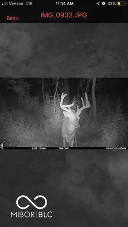 $594,900 | 7000 South Us Highway, Freedom, IN 47431